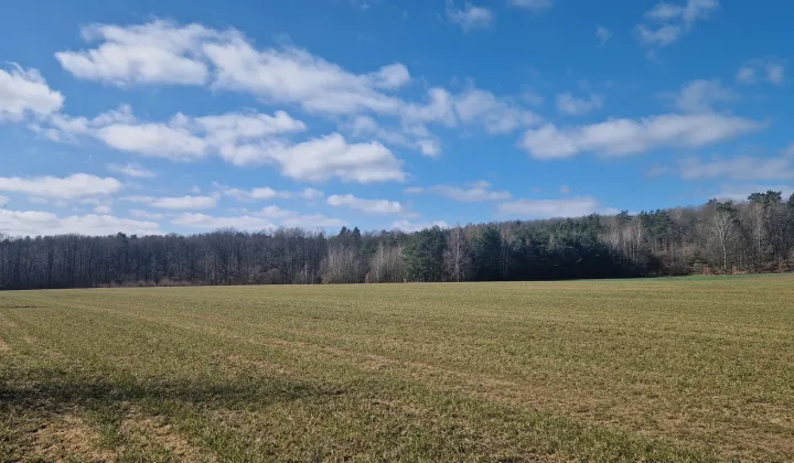 Działka budowlana Bacze Suche