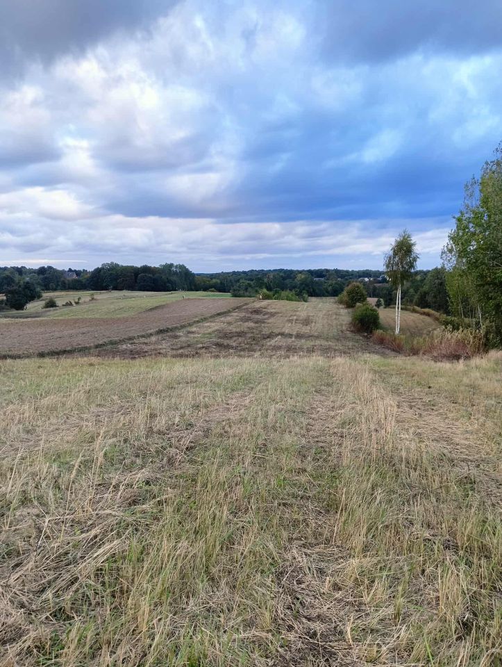 Działka rolno-budowlana Las Stocki. Zdjęcie 3