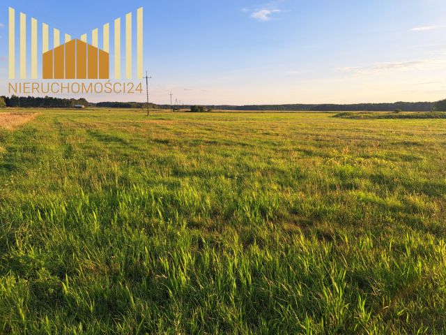 Działka rolna Borki. Zdjęcie 2