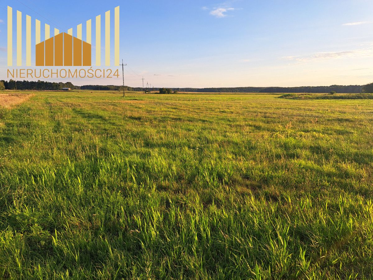 Działka rolna Borki. Zdjęcie 2