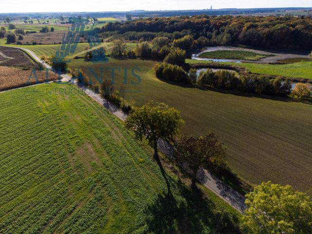 dom wolnostojący, 3 pokoje Jordanowo. Zdjęcie 6