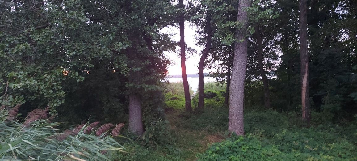 Działka budowlana Gawliki Małe. Zdjęcie 7