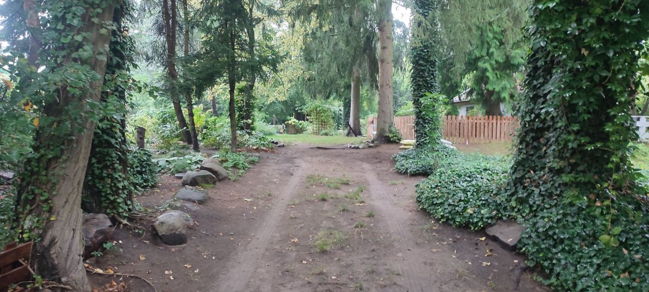 dom letniskowy Tartak Brzózki. Zdjęcie 6