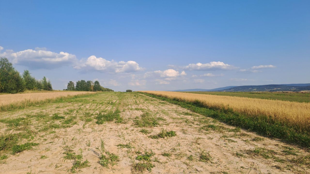 Działka rolno-budowlana Wzdół-Kolonia. Zdjęcie 1