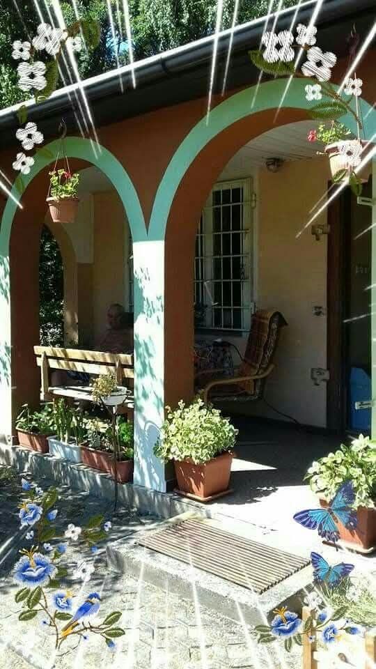 Działka rod Zielona Góra, ul. Osiedle Pomorskie. Zdjęcie 4