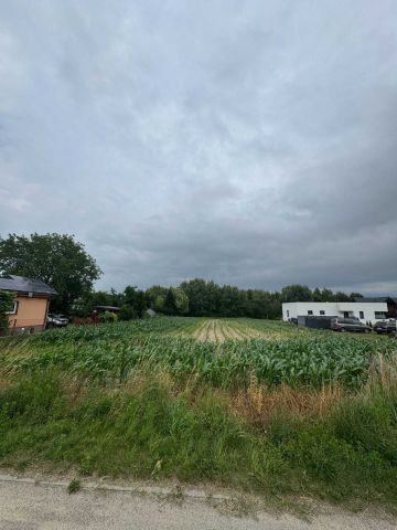 Działka rolno-budowlana Janowiec Wielkopolski. Zdjęcie 1