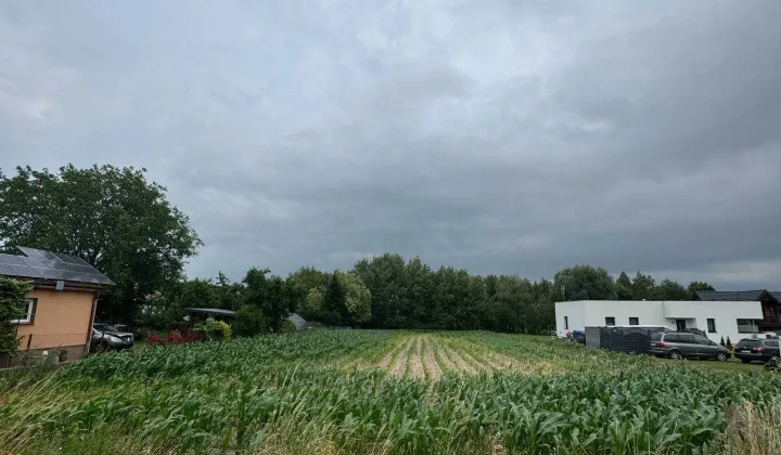 Działka rolno-budowlana Janowiec Wielkopolski