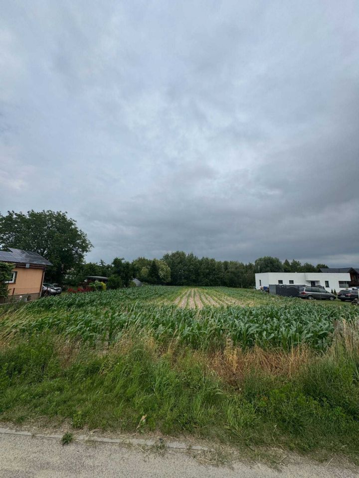 Działka rolno-budowlana Janowiec Wielkopolski