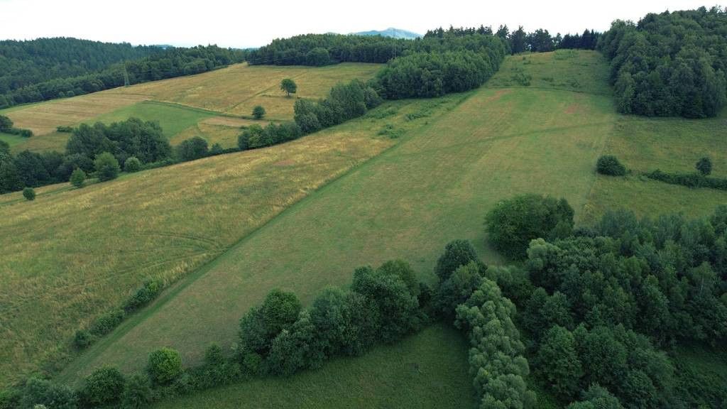 Działka rolna Górzanka. Zdjęcie 3