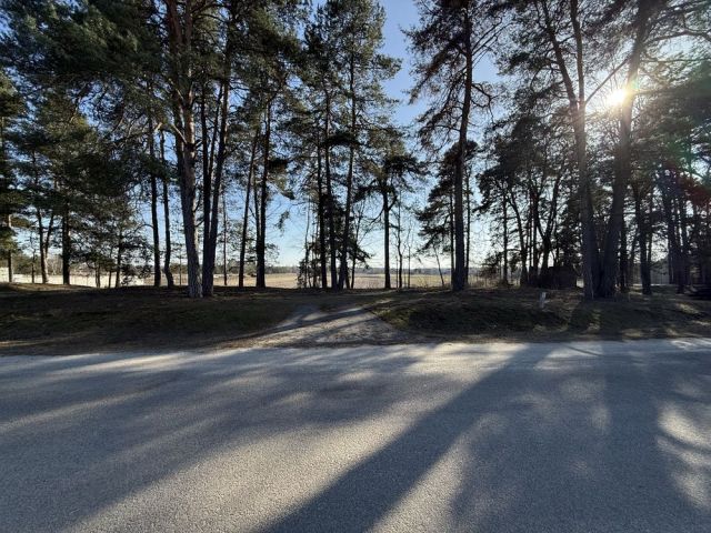 Działka rolno-budowlana Zanie. Zdjęcie 1