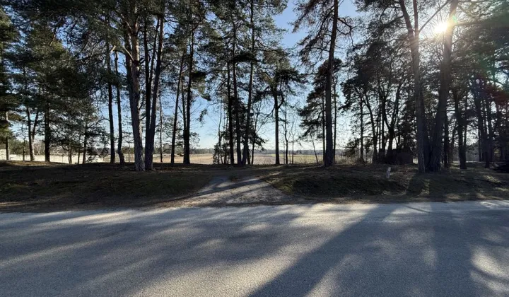 Działka rolno-budowlana Zanie