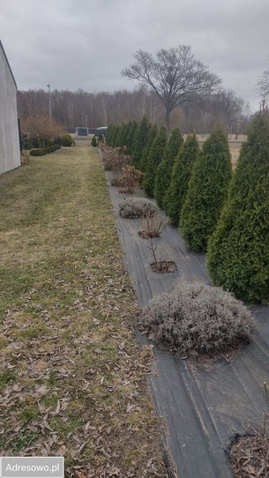 dom wolnostojący, 6 pokoi Bolechowo-Osiedle, ul. Szmaragdowa. Zdjęcie 2