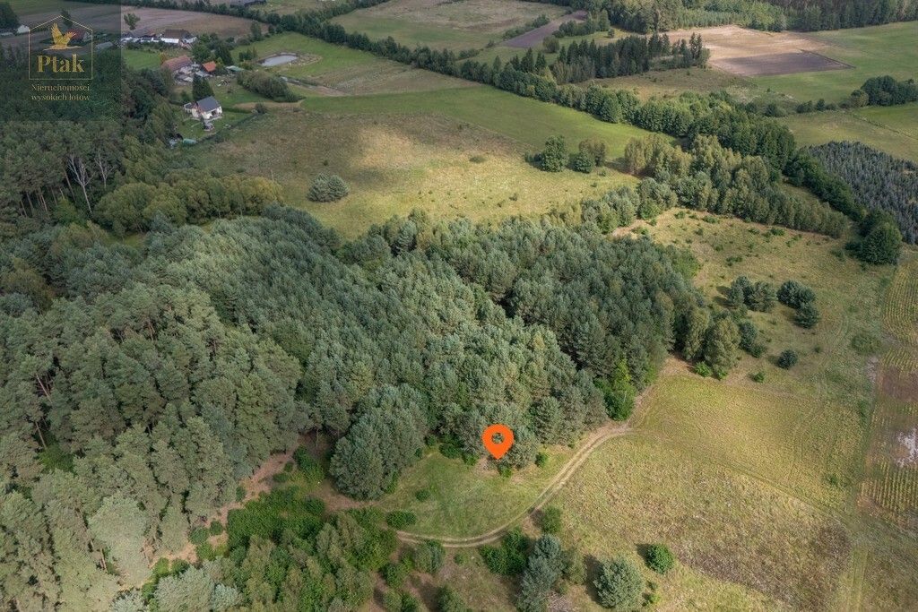 Działka rolna Obrzycko. Zdjęcie 10