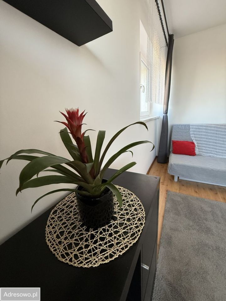 Mieszkanie 2-pokojowe Poznań Grunwald, ul. Macieja Palacza. Zdjęcie 17