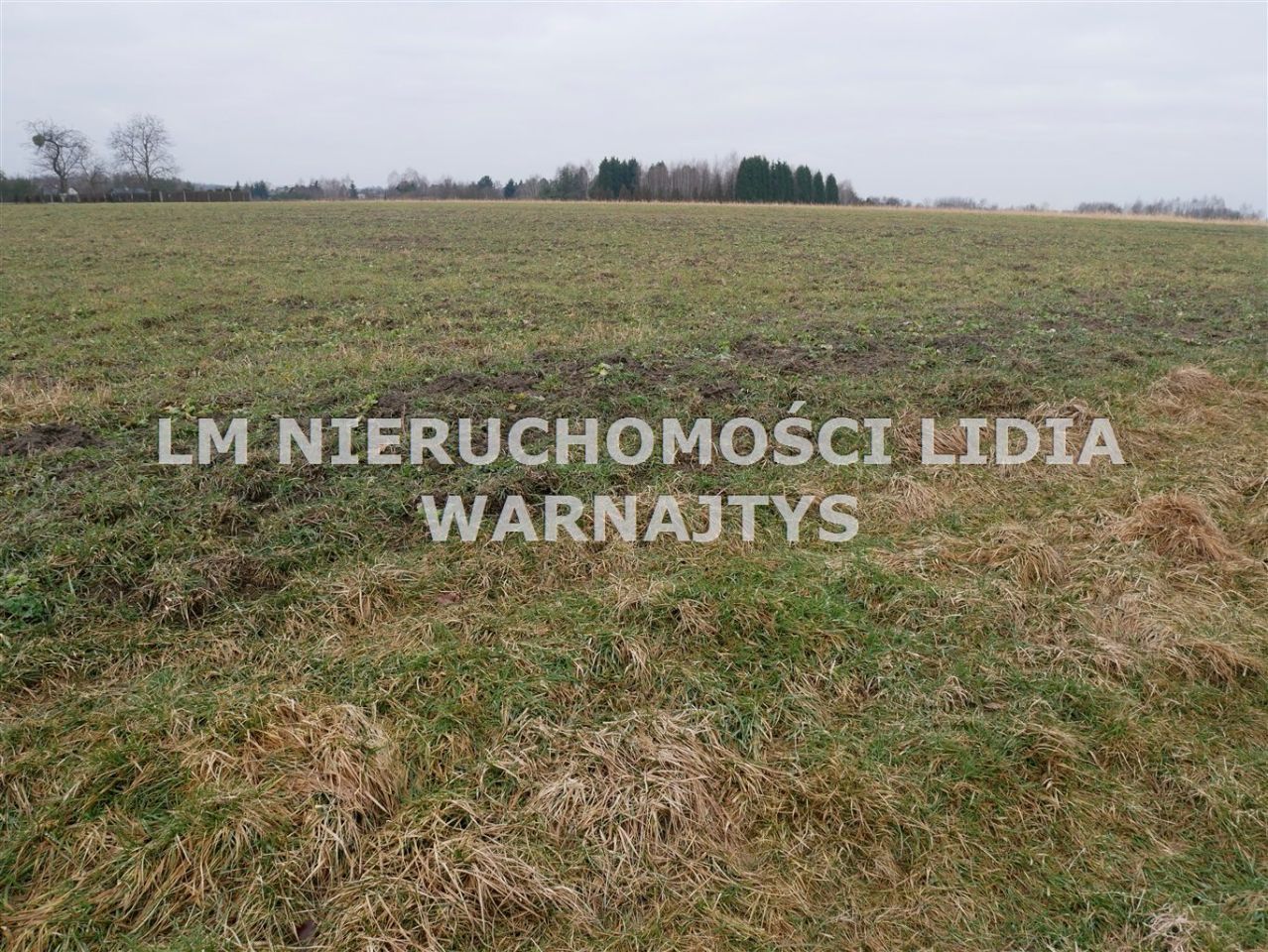 Działka Czerwionka-Leszczyny Leszczyny, ul. Żorska. Zdjęcie 2