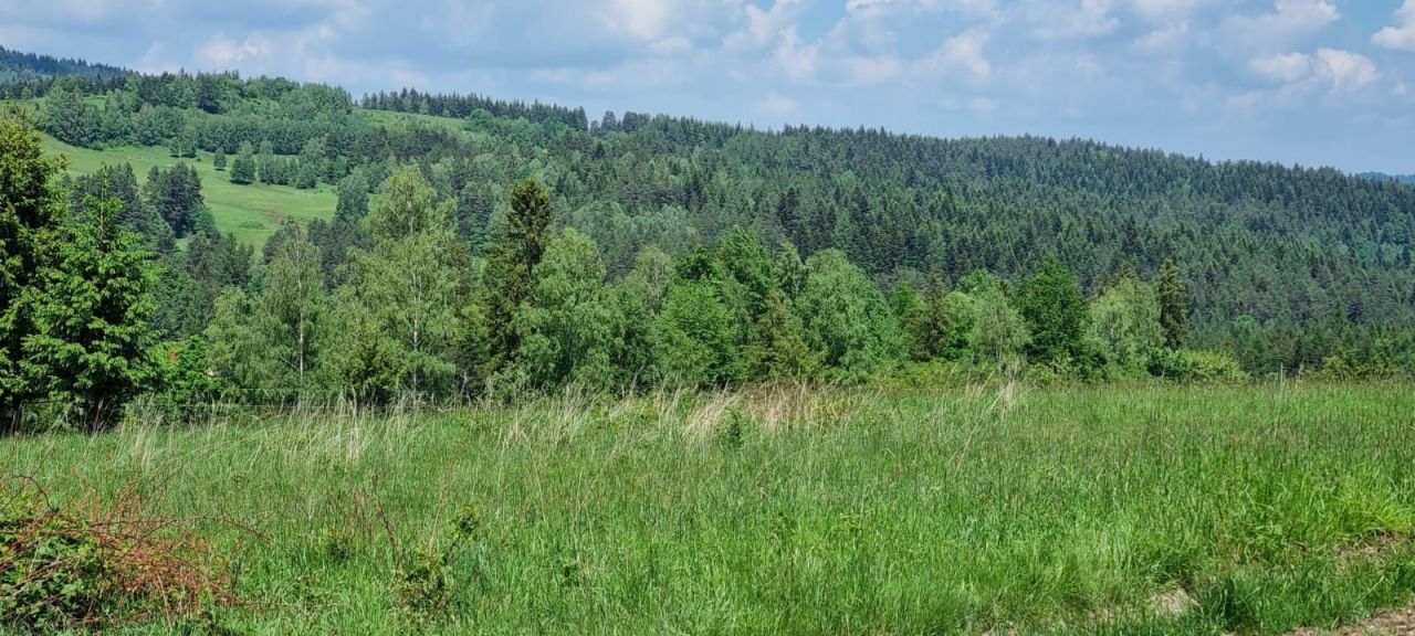 Działka budowlana Kurów. Zdjęcie 6