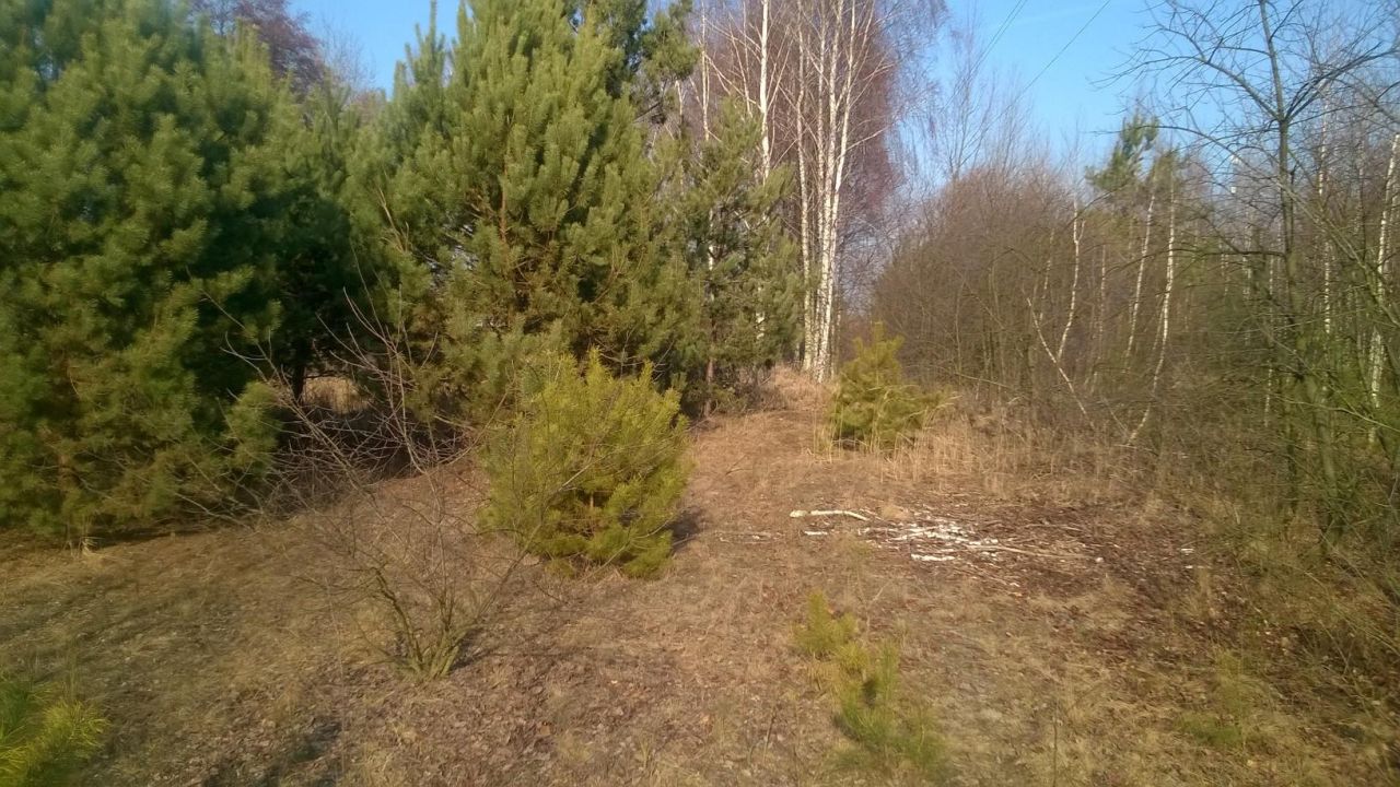 Działka rolna Jedlanka Kępiny. Zdjęcie 5