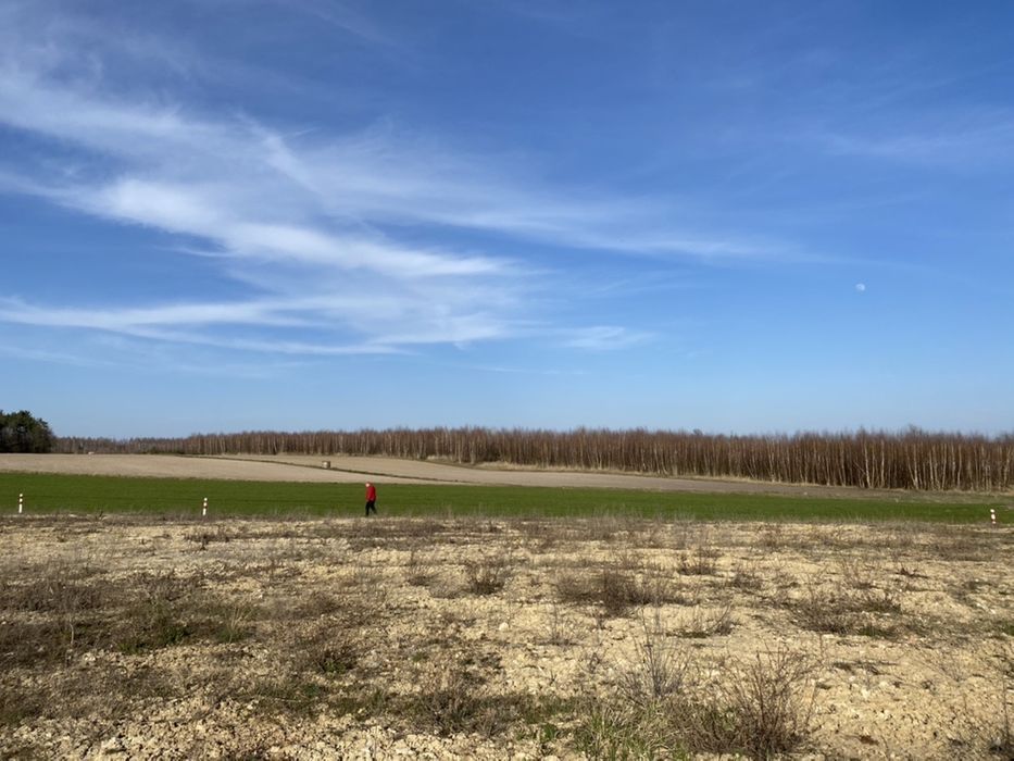 Działka Budy Wandalińskie, bez pośrednika 3102 m2