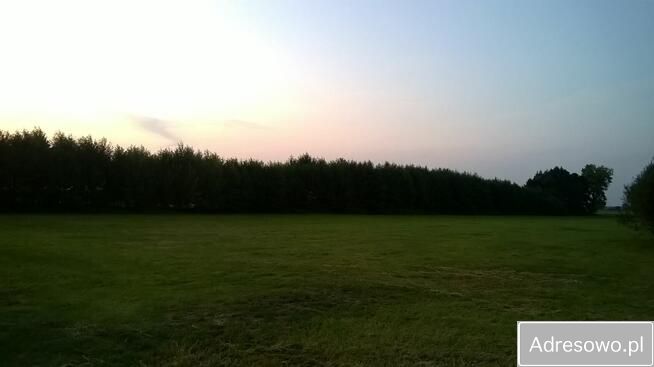 Działka leśna Garki. Zdjęcie 7