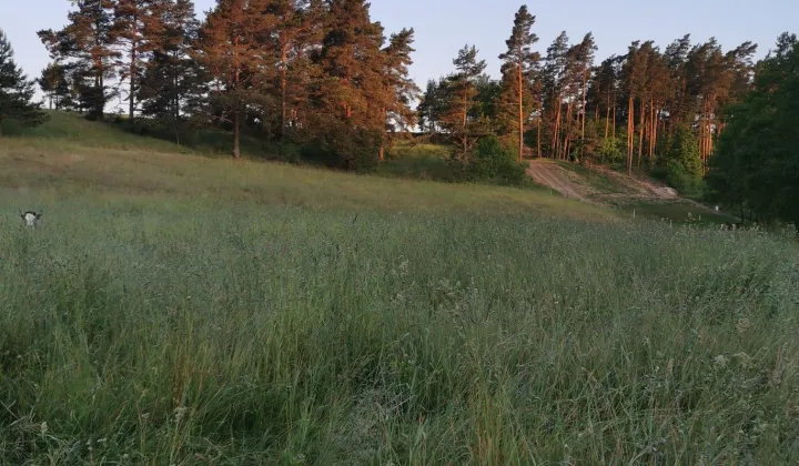 Działka rolno-budowlana Bakałarzewo