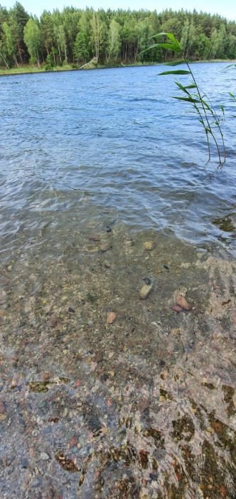 Działka rolna Wdzydze Tucholskie. Zdjęcie 6