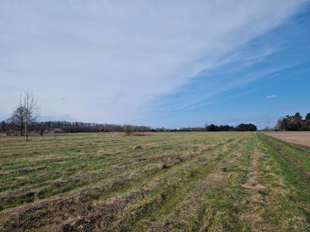 Działka rolna Duczki. Zdjęcie 6