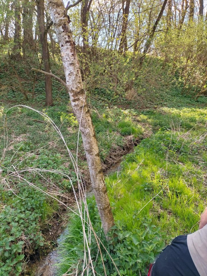 Działka rolna Kościejów, droga po działce 682. Zdjęcie 4