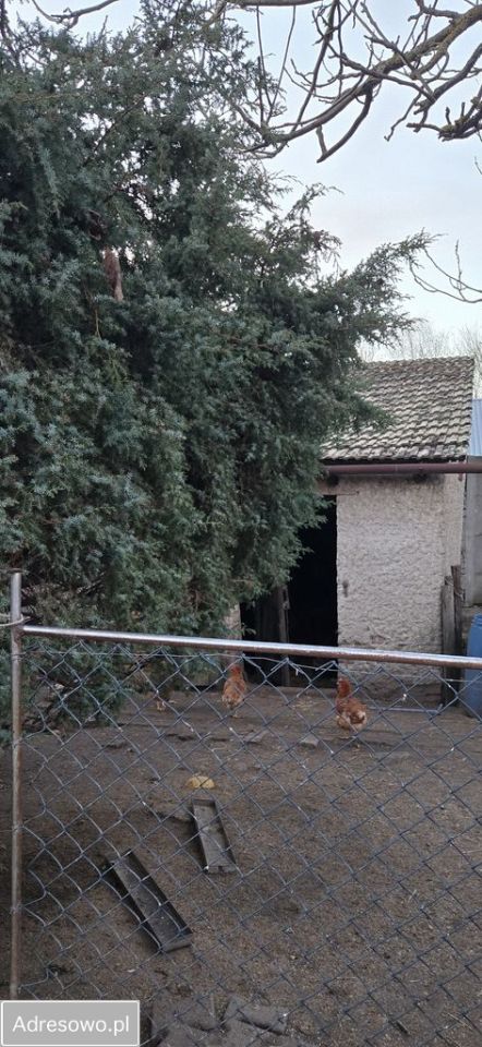 dom wolnostojący, 4 pokoje Gubinek. Zdjęcie 2