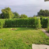 Działka rod Warszawa Włochy, Na skraju ( Paluch ). Zdjęcie 3