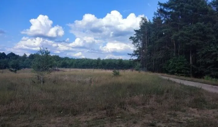 Działka rolno-budowlana Karbowizna