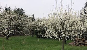 Działka budowlana Wrocław Ołtaszyn, ul. Sojowa