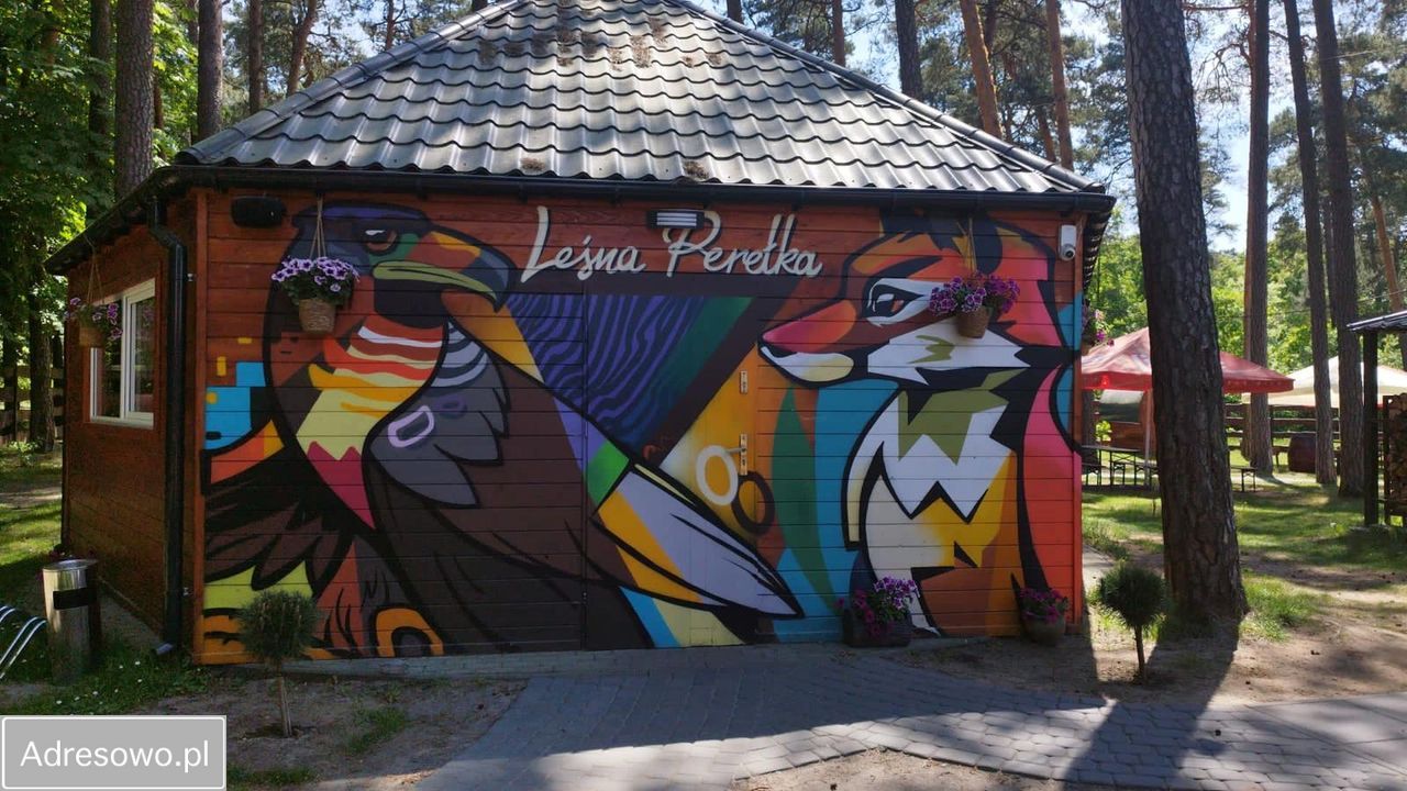 Działka leśna Boruszowice, ul. Armii Krajowej. Zdjęcie 6