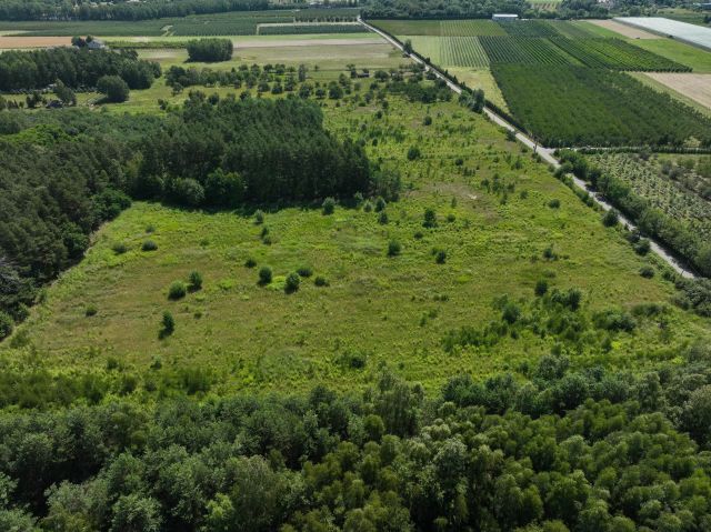 Działka inwestycyjna Podkowa Leśna. Zdjęcie 2