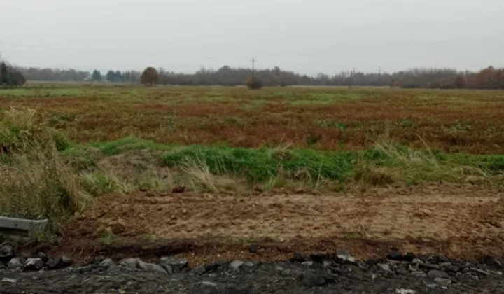 Działka rolno-budowlana Brzeźnica, ul. Zielona