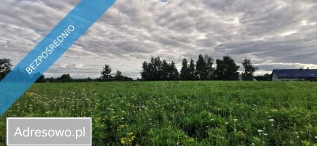 Działka budowlana Brzozówka. Zdjęcie 1