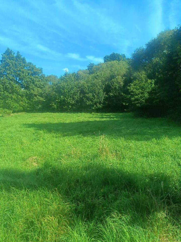 Działka budowlana Nowa Wieś Goszczańska Kuźnia Goszczańska. Zdjęcie 4