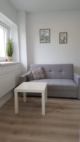 Mieszkanie 1-pokojowe Legnica Centrum, ul. Władysława Łokietka. Zdjęcie 1