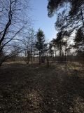 Działka leśna Nadkole. Zdjęcie 4