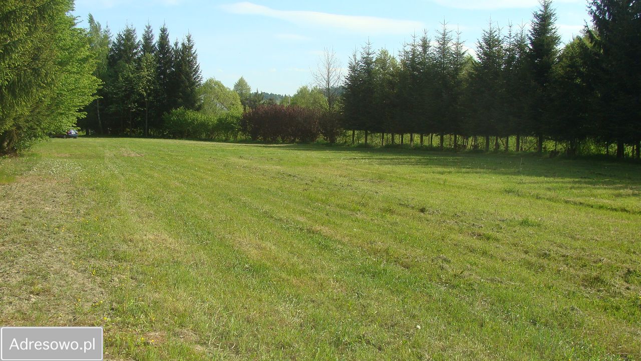 Działka rolna Domaszków, ul. Kolejowa. Zdjęcie 2