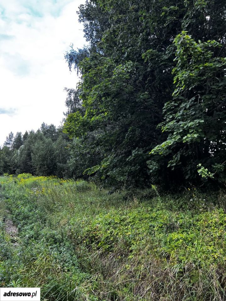 Działka rolno-budowlana Stręgielek. Zdjęcie 11
