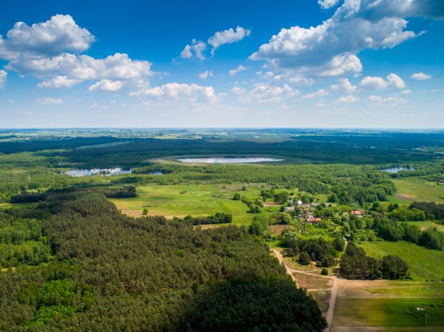 Działka rolna Lubieniek. Zdjęcie 1