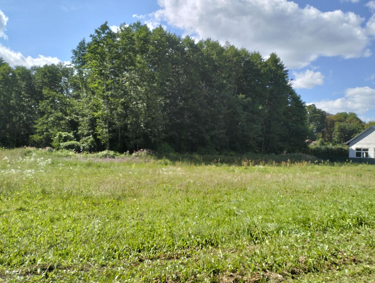 Działka budowlana Kłóbka. Zdjęcie 4