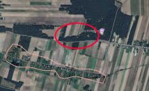 Działka leśna Jaworek. Zdjęcie 1