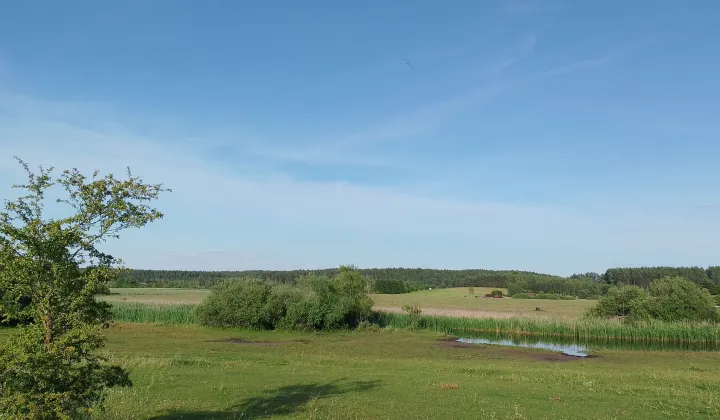 Działka rekreacyjna Kurki