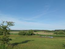 Działka rekreacyjna Kurki