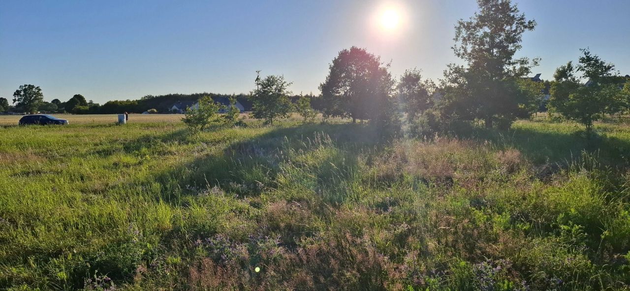 Działka budowlana Grzymalin. Zdjęcie 5