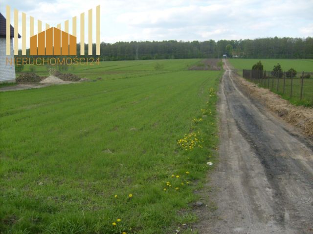 Działka rolna Dębe Wielkie. Zdjęcie 1