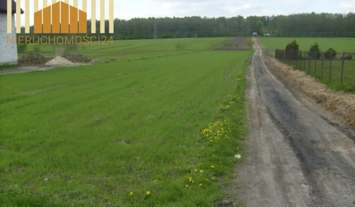 Działka rolna Dębe Wielkie