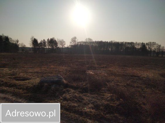 dom wolnostojący, 4 pokoje Wólka Szczawińska. Zdjęcie 5