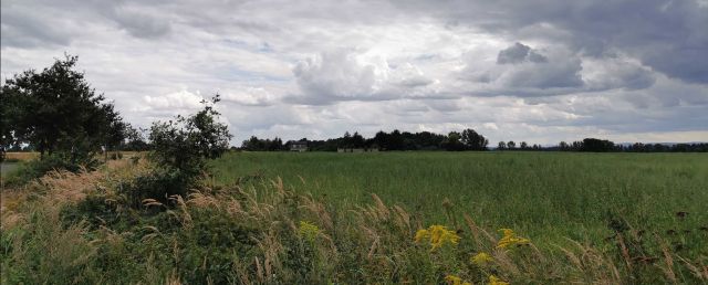 Działka budowlana Lisiec. Zdjęcie 1